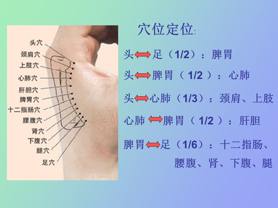 掌骨全息理论.ppt_第3页