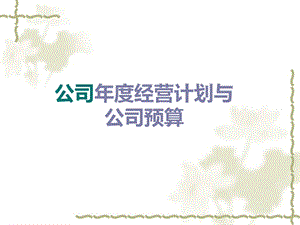 最新公司年度经营计划和公司预算.ppt