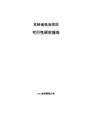 吉林省电池项目可行性研究报告.docx