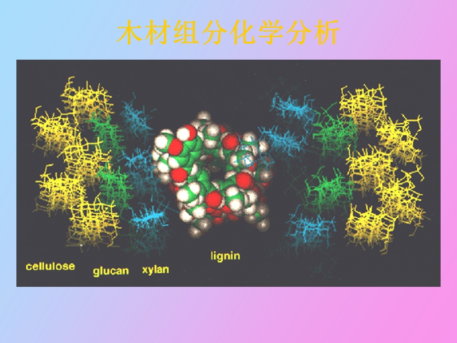 植物纤维素化学.ppt_第3页