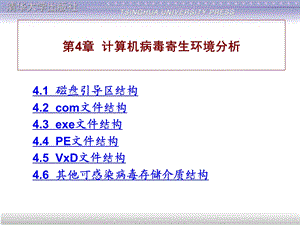 第4章计算机病毒寄生环境分析.ppt