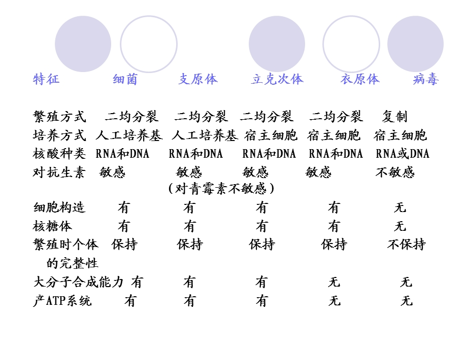 支原体立克次氏体衣原体教学.ppt_第2页