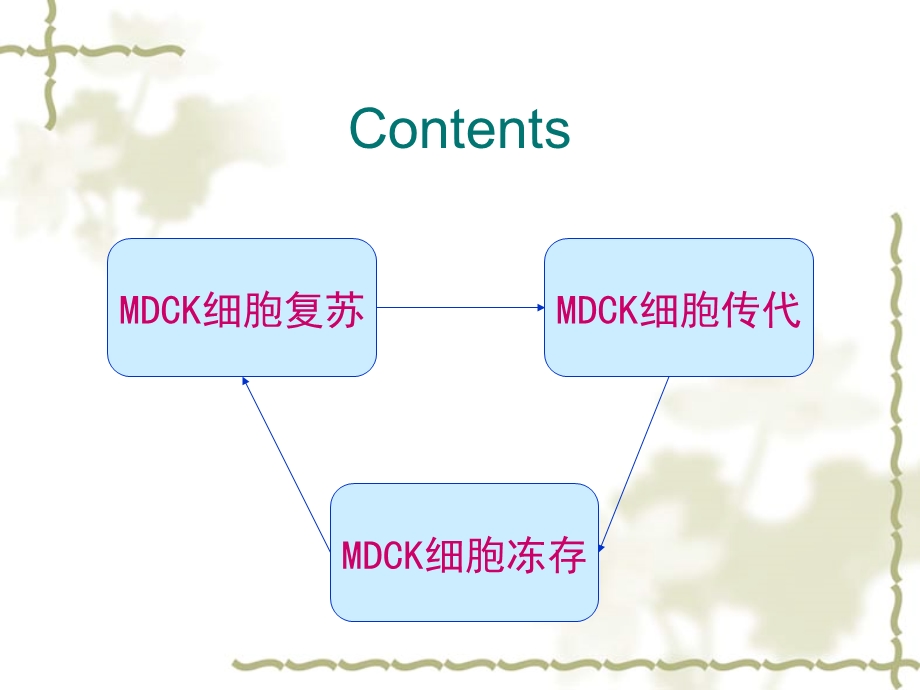 细胞培养技术ppt课件.ppt_第2页