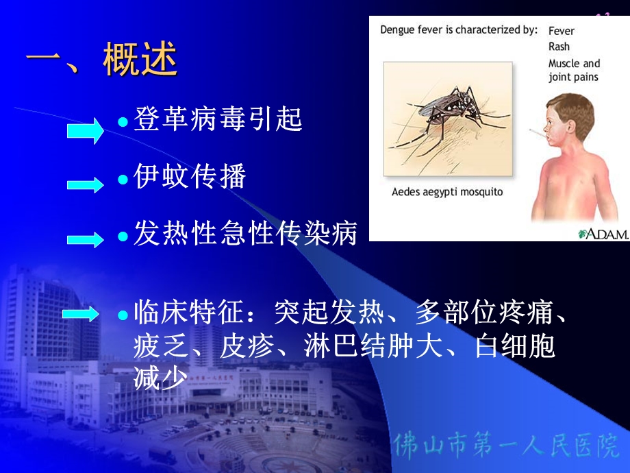 登革热的诊断和治疗.ppt_第3页