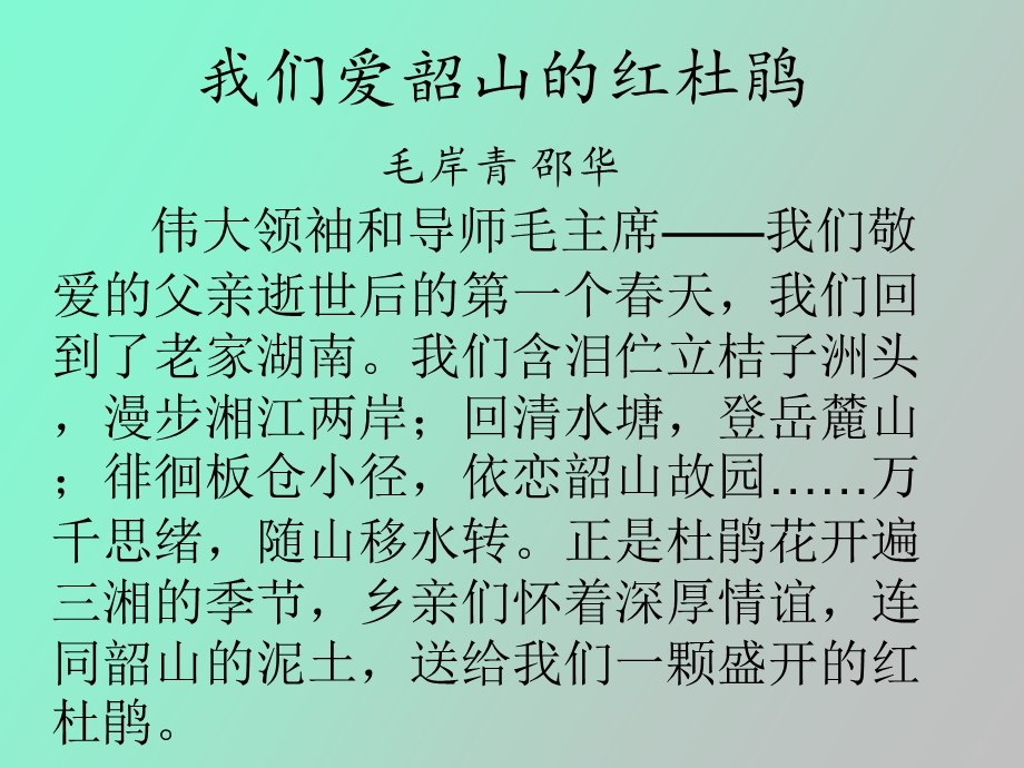 我们爱韶山的红杜鹃.ppt_第1页