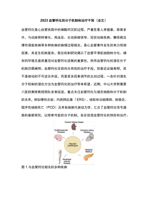 2023血管钙化的分子机制和治疗干预（全文）.docx