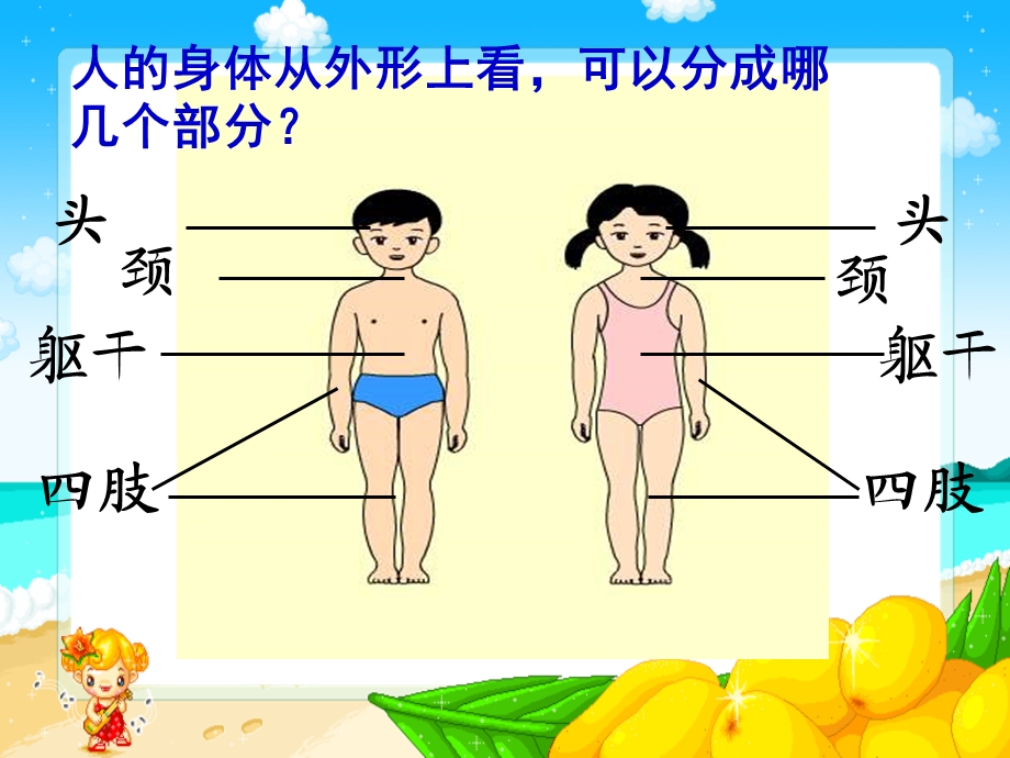 我爱我的身体.ppt_第3页