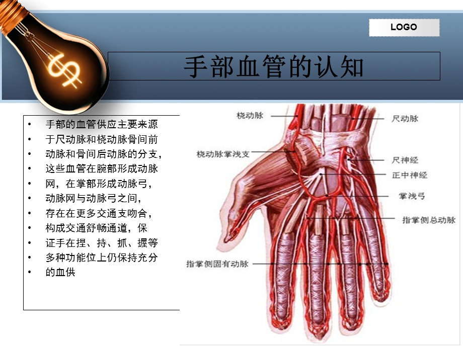 手部血管解剖及临床应用.ppt_第3页