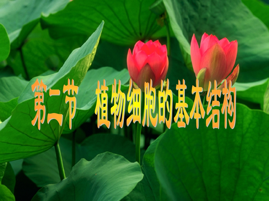 植物细胞的基本结构微课.ppt_第1页