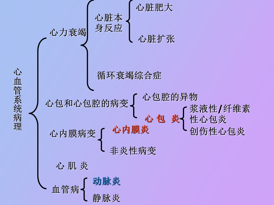 心血管系统病理.ppt_第2页