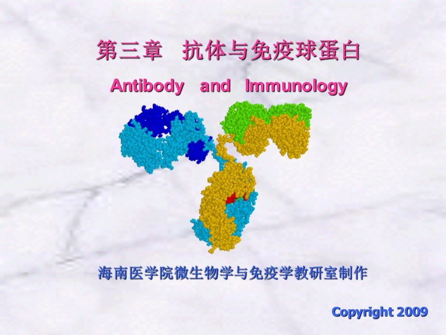 抗体与免疫球蛋白.ppt_第1页