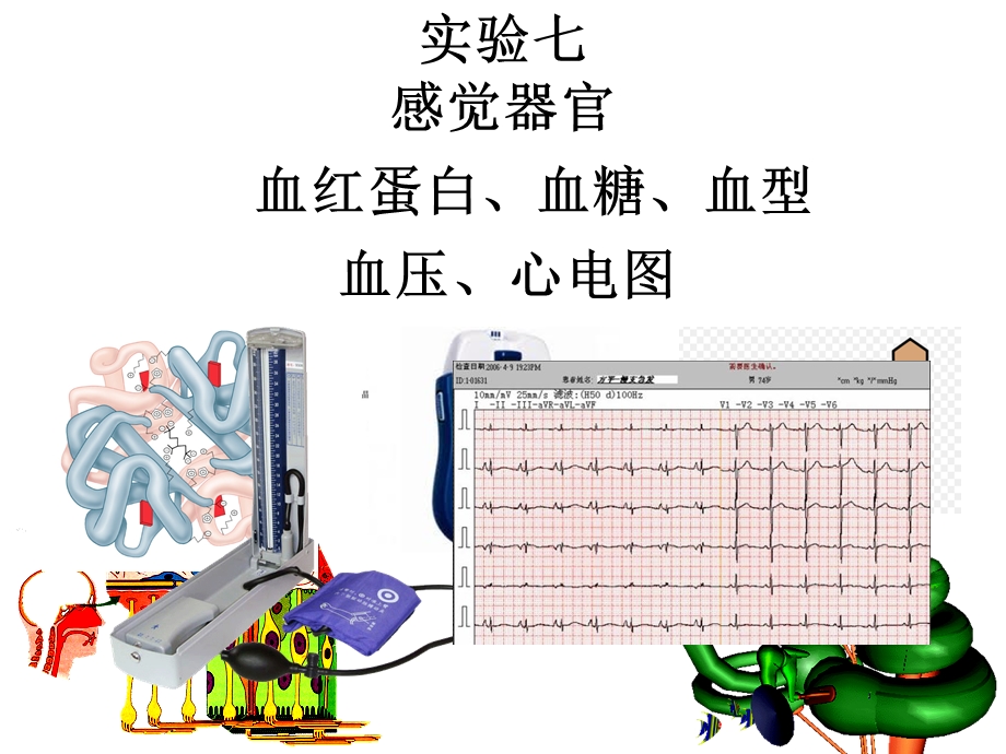 生理实验七.ppt_第1页