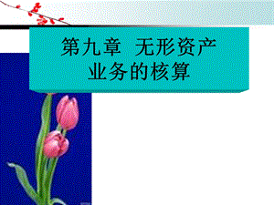 无形资产业务的核算.ppt