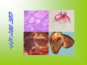 病理学课件第一章绪论.ppt
