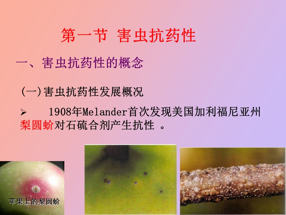 有害生物抗性.ppt_第3页