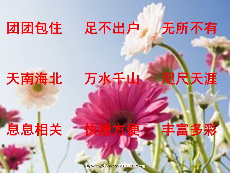 【小学课件】奇妙的国际互联网.ppt_第3页