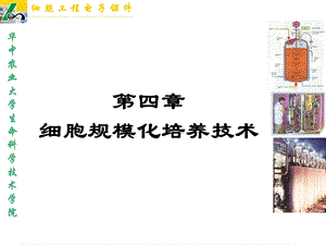 植物细胞工程课件第四章细胞规模化培养技术.ppt