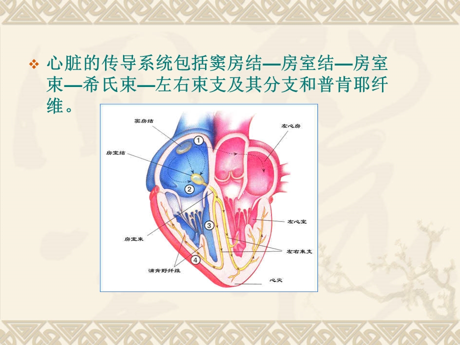 房室传导阻滞课件.ppt_第3页