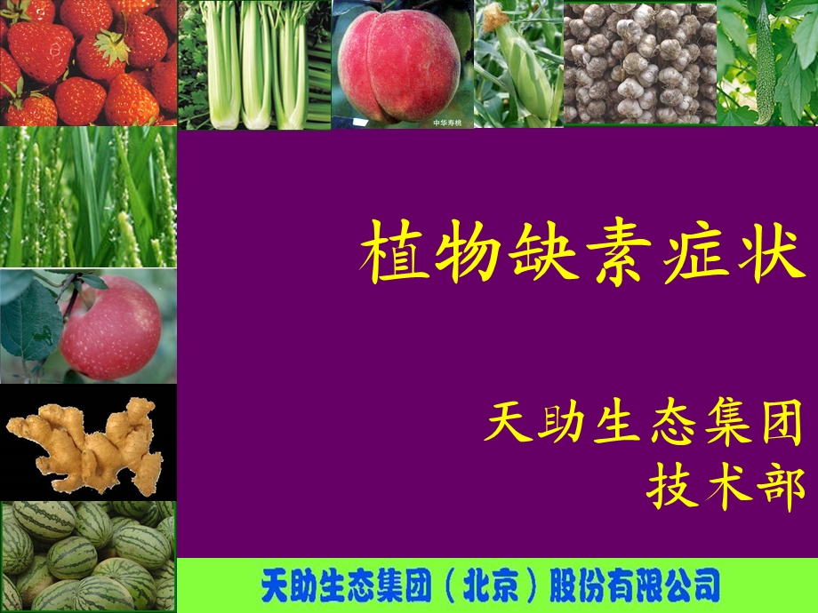 植物缺素症图谱.ppt_第1页