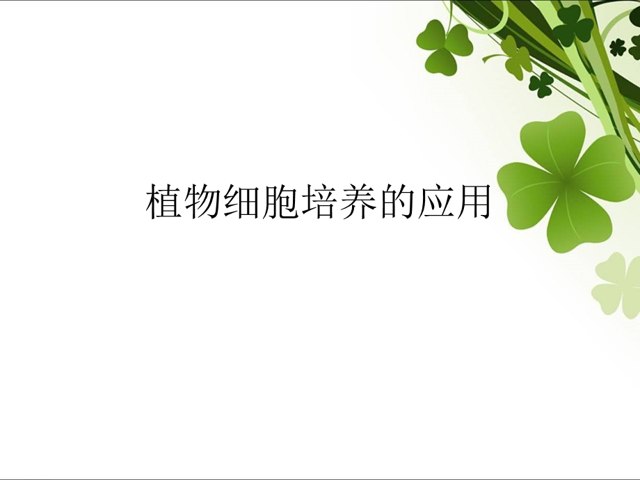 植物细胞培养的应用.ppt_第1页