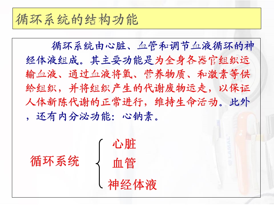 循环系统的结构功能课件.ppt_第3页