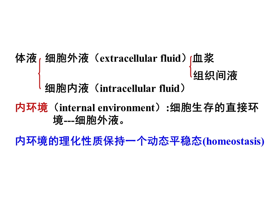 生理学03血液6.ppt_第3页