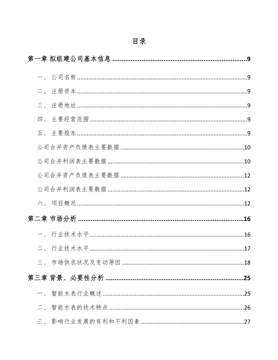 呼和浩特关于成立智能水表公司可行性研究报告.docx_第2页