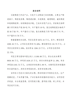 呼伦贝尔特种陶瓷制品项目可行性研究报告.docx