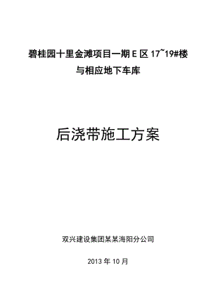 后浇带止水某钢板安装节点施工的方案设计.doc