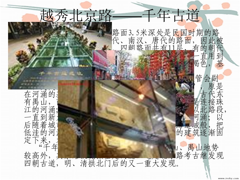 545魅力越秀.ppt_第3页