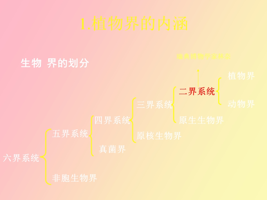 植物分类总复习.ppt_第3页