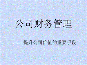 公司财务管理第一讲.ppt