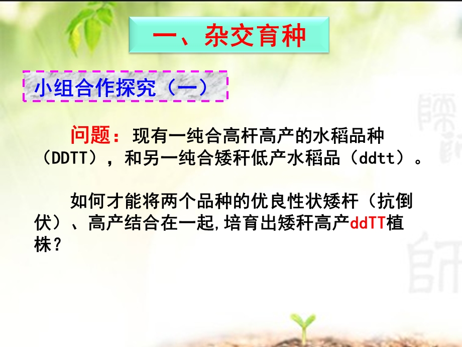 杂交育种与诱变育种-优质课.ppt_第3页