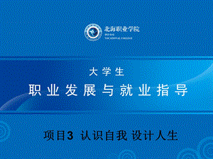 项目认识自我设计人生.ppt