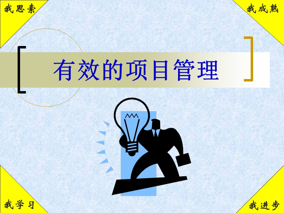 有效的项目管理.ppt_第1页