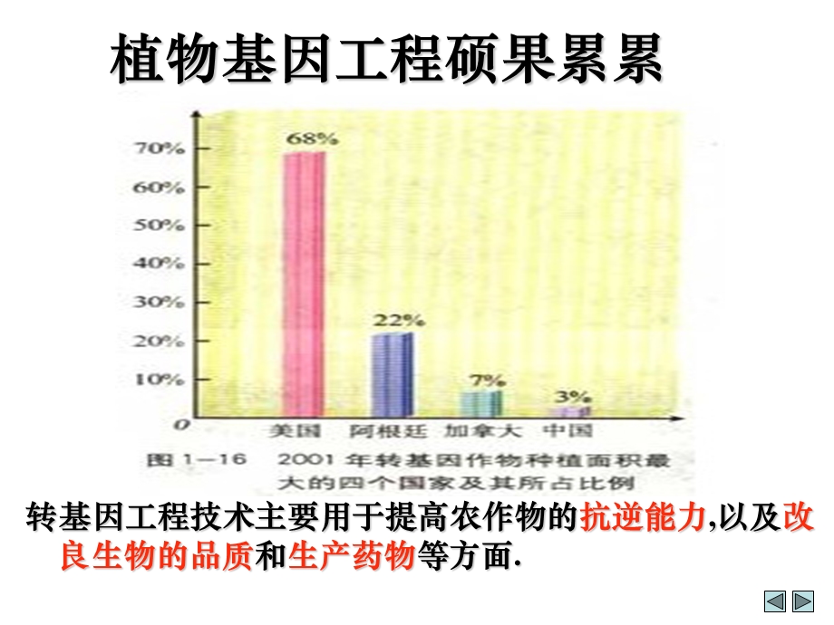 植物基因工程硕果累累课件.ppt_第1页