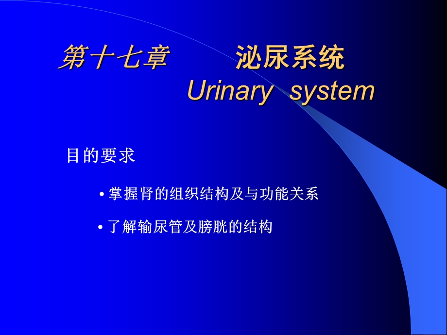 第7章泌尿系统ppt课件.ppt_第1页