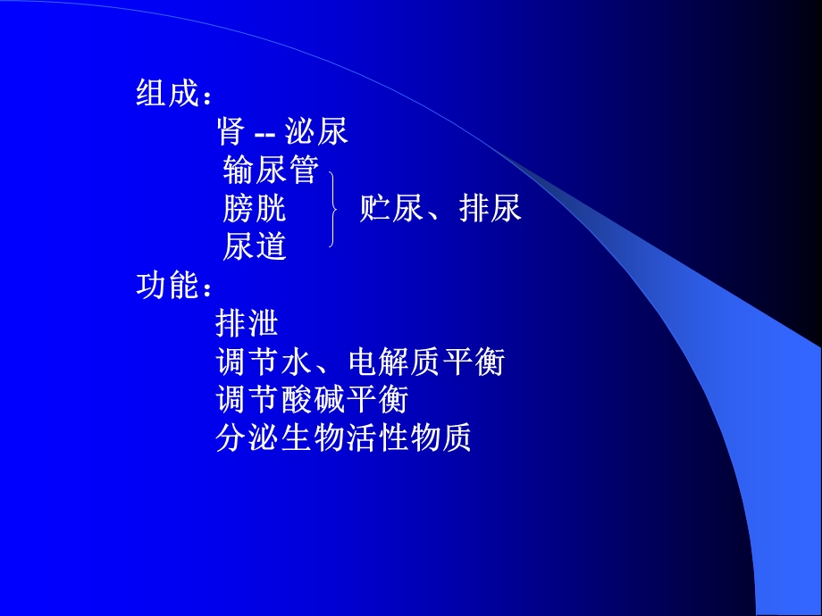 第7章泌尿系统ppt课件.ppt_第2页