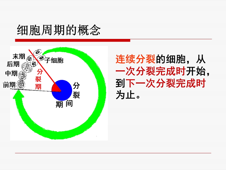 细胞增殖(新).ppt_第3页