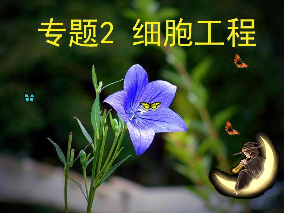 植物细胞工程的实际应用讲课ya.ppt_第1页