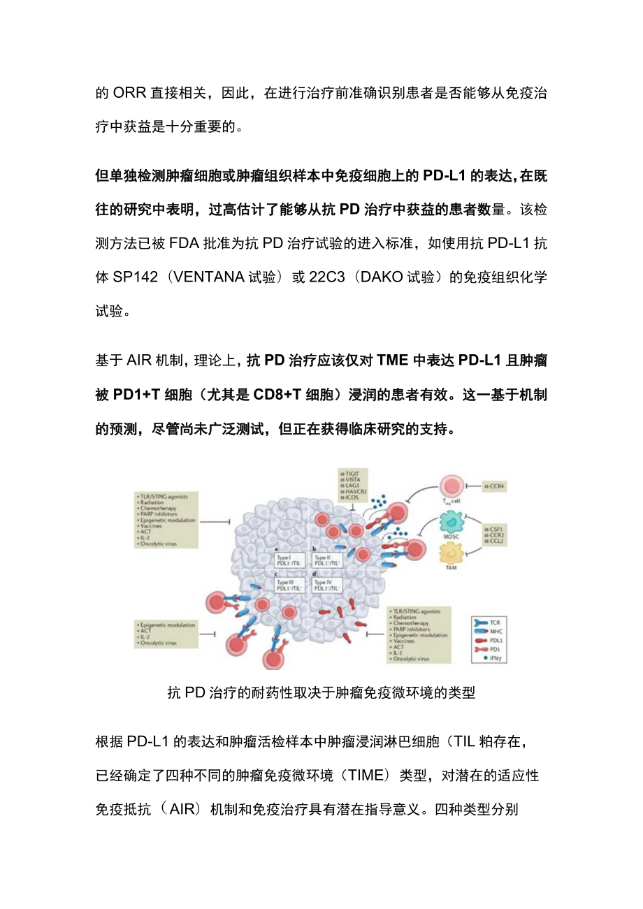 2023肿瘤部位的适应性免疫耐受：机制与治疗机会（全文）.docx_第3页