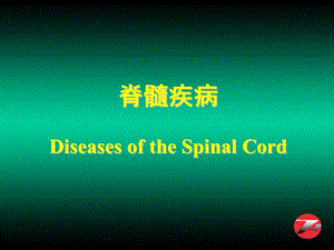 脊髓疾病DiseasesoftheSpinalCord.ppt