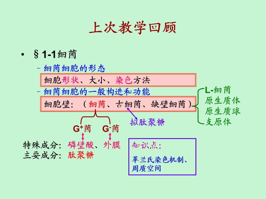 原核生物的形态、构造.ppt_第1页