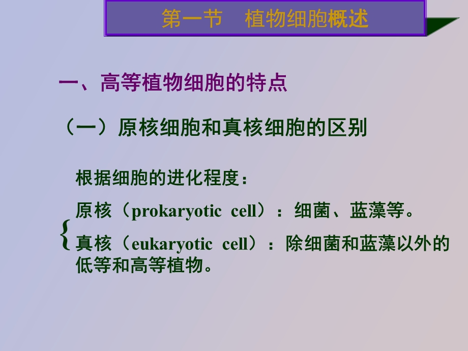 植物细胞生理.ppt_第2页