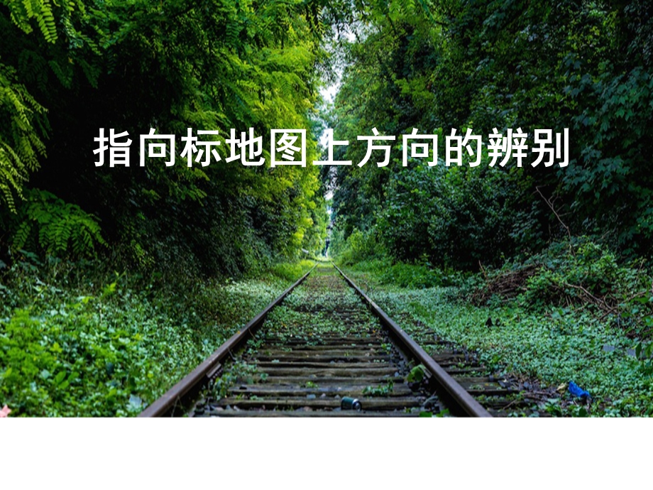 指向标地图上方向的辨别.ppt_第1页