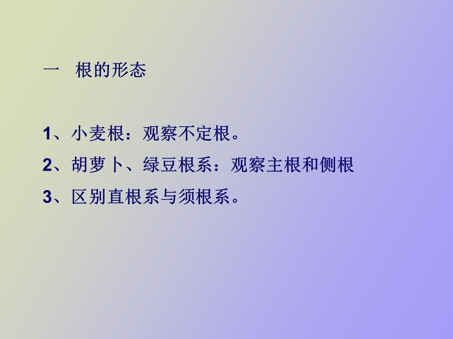 植物学实验四根的形态与结构.ppt_第2页