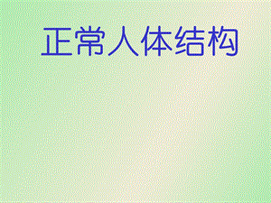 正常人体结构.ppt