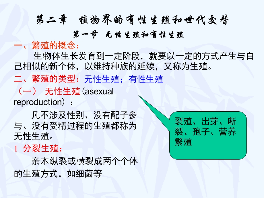 植物界的有性生殖和世代交替.ppt_第1页