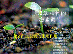 第3章植物的激素调节.ppt