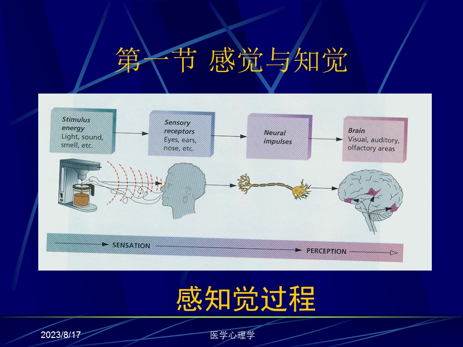 医学心理学课件第三章认知过程.ppt_第3页